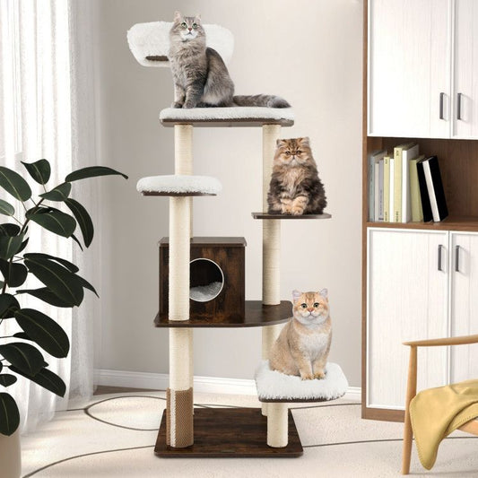 The View from Above: Why Your Cat Needs to Climb, Perch, and Watch the World Unfold