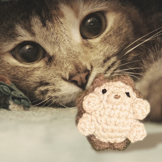 Feline Grove in the news!