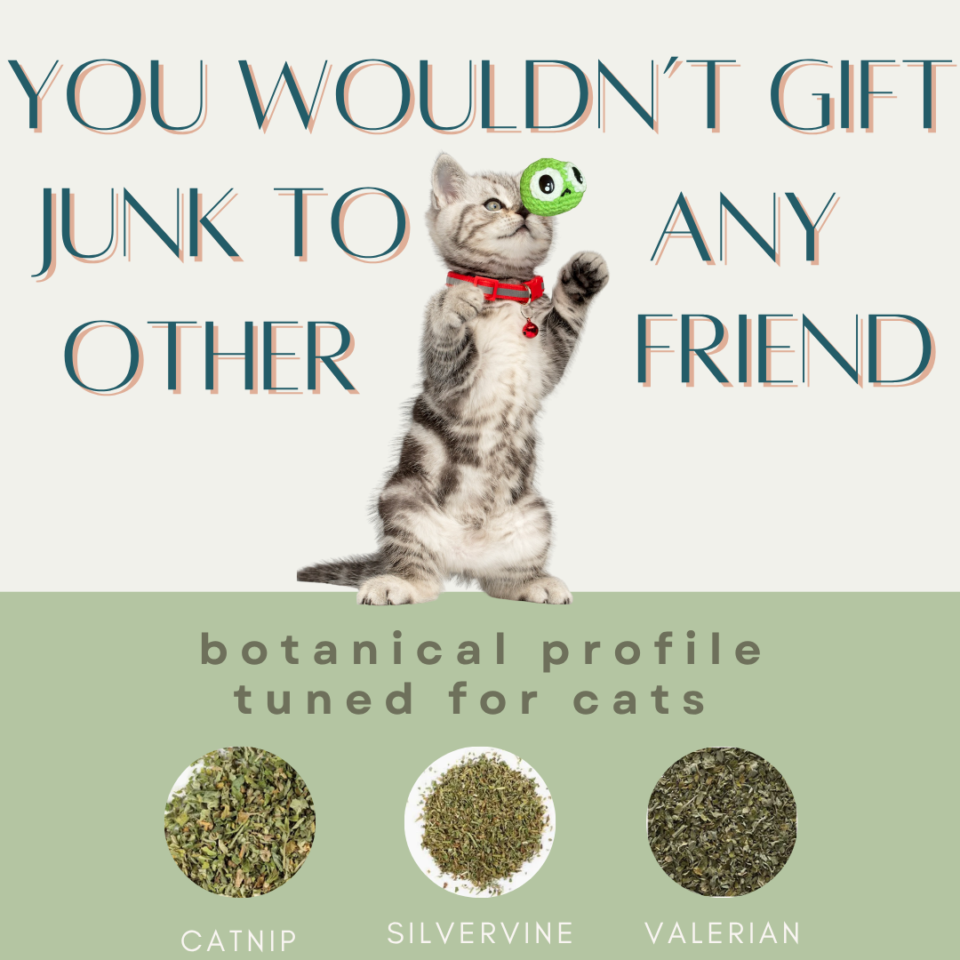 Kitten playing with a grumpy pea shaped Chunkle cat toy, surrounded by catnip, silvervine, and valerian botanicals on a light green background.