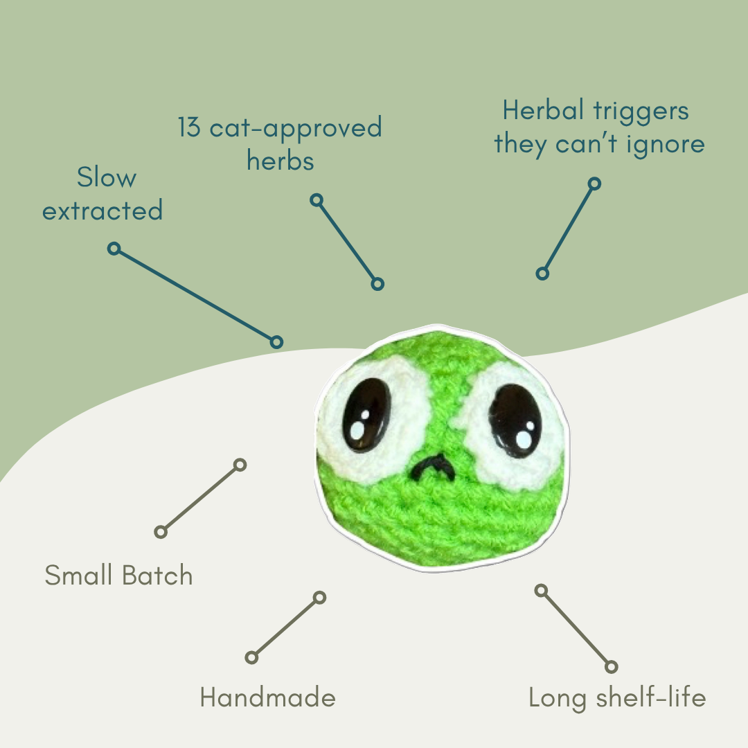 Green pea shaped Chunkle cat toy with text highlighting features on a green background