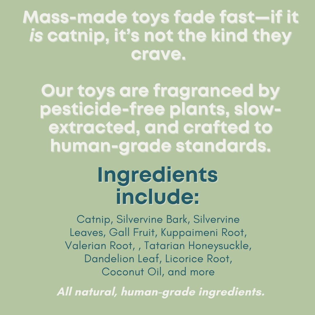 Text on a green background about catnip toys with natural ingredients.