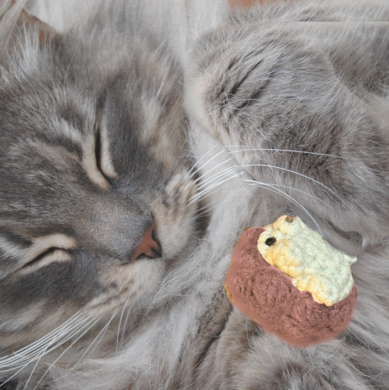 Cat sleeping with Harold the Hedgehog, a handmade Chunkle Puff catnip toy by Feline Grove. The woven hedgehog rests beside the cat, emphasizing softness, durability, and woodland-inspired play.