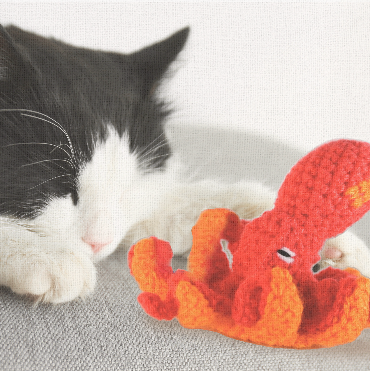 Cat lounging with Julie the Kraken, a handmade Chunkle Puff catnip toy by Feline Grove. The elongated octopus toy rests close to the cat, emphasizing softness, durability, and ocean-inspired design.
