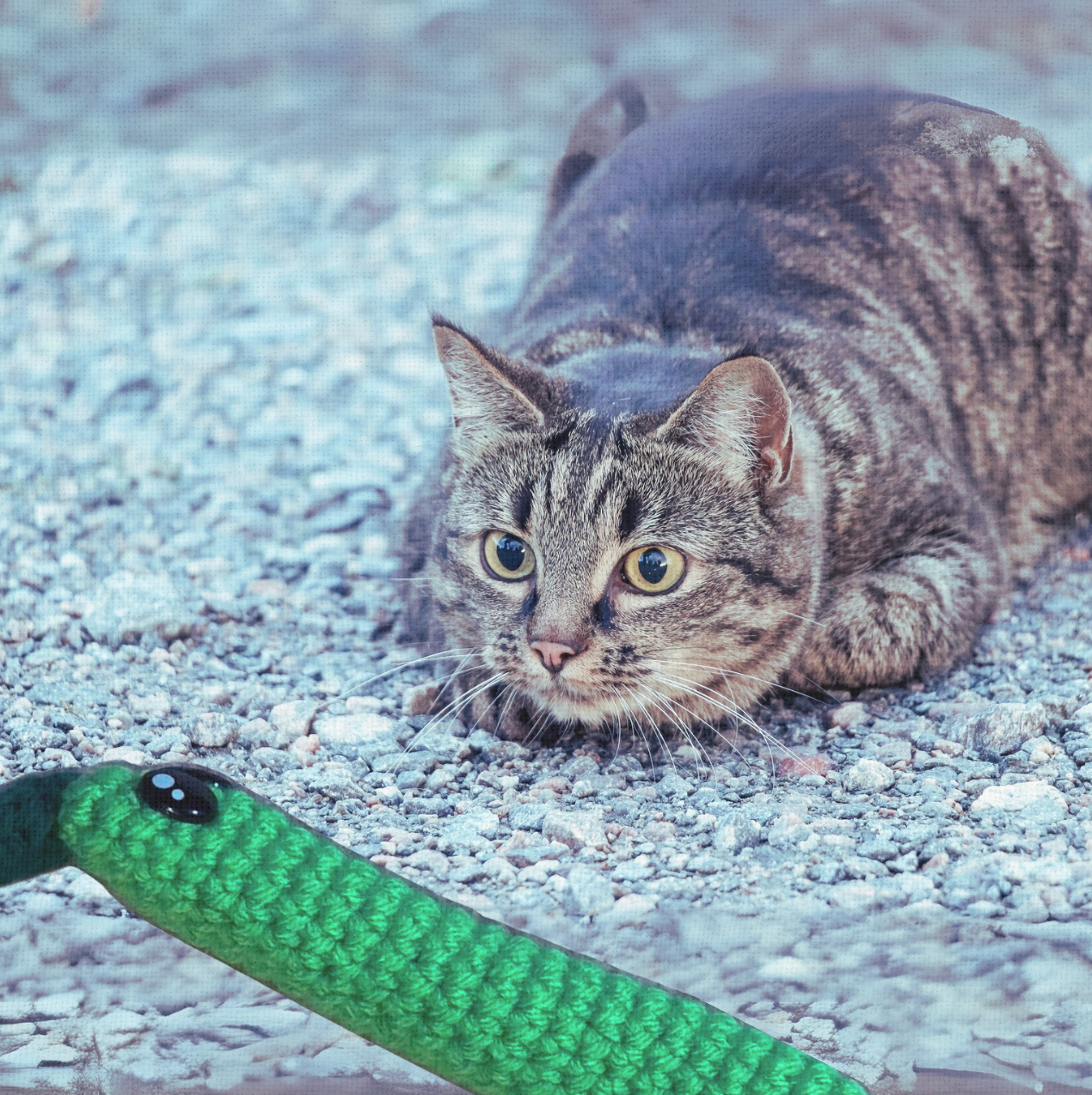 Cat playing with Leaf Stick, a handmade Chunkle Puff catnip toy from Feline Grove. The woven green leaf toy crinkles as it is batted and carried, demonstrating irresistible motion and botanical scent.