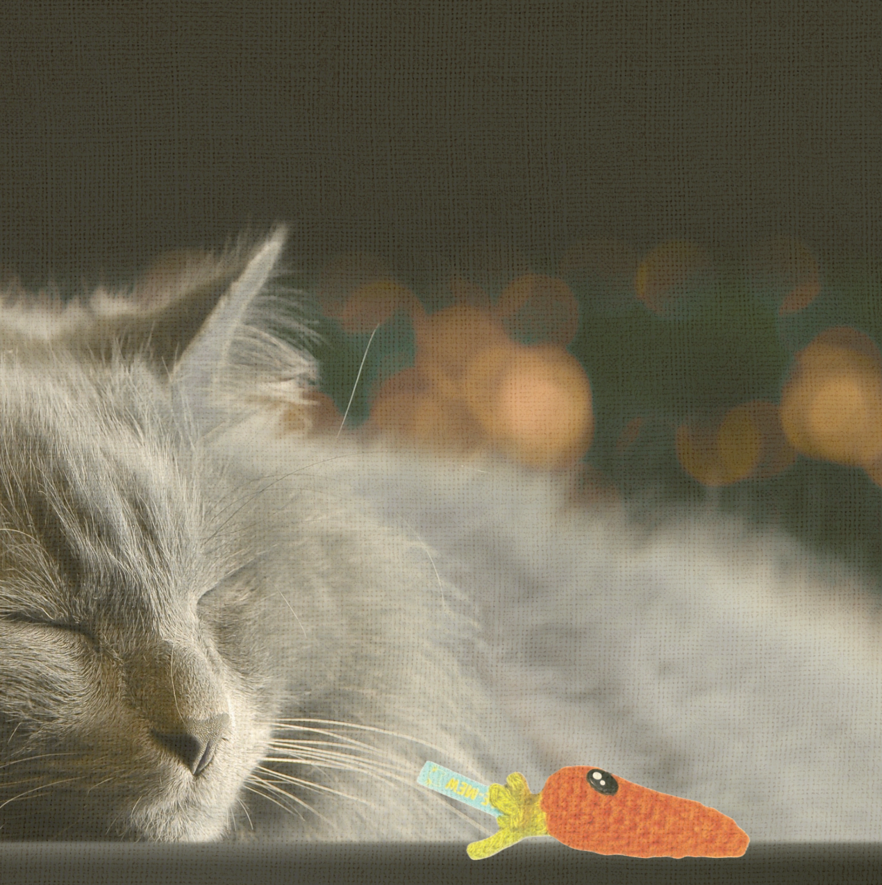 at lounging with Lulu the Carrot, a handmade Chunkle Puff catnip toy by Feline Grove. The bright orange woven toy rests close to the cat, emphasizing durability, softness, and harvest-inspired play appeal.