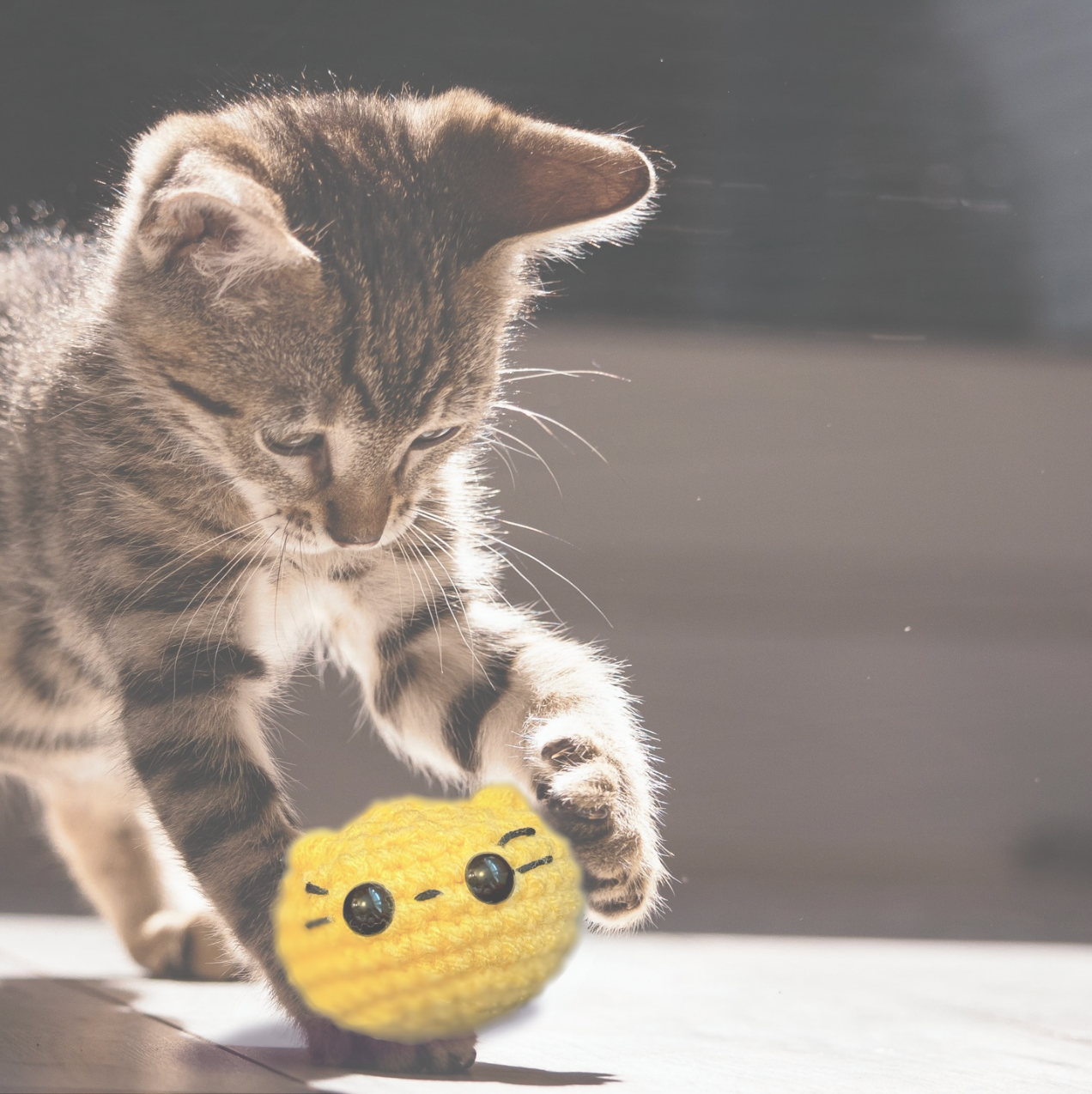 Cat playing with Pippa the Chonk, a handmade weighted Chunkle Chunk catnip toy from Feline Grove. The round weighted toy is batted and carried, demonstrating substantial play appeal and irresistible botanicals.