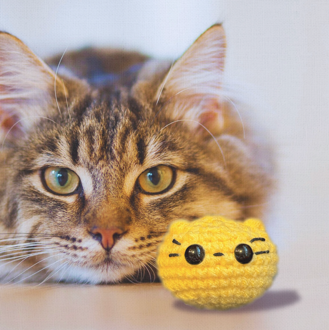 Cat lounging with Pippa the Chonk, a handmade weighted Chunkle Chunk catnip toy by Feline Grove. The plush weighted round form rests beside the cat, emphasizing comfort, durability, and luxury design.