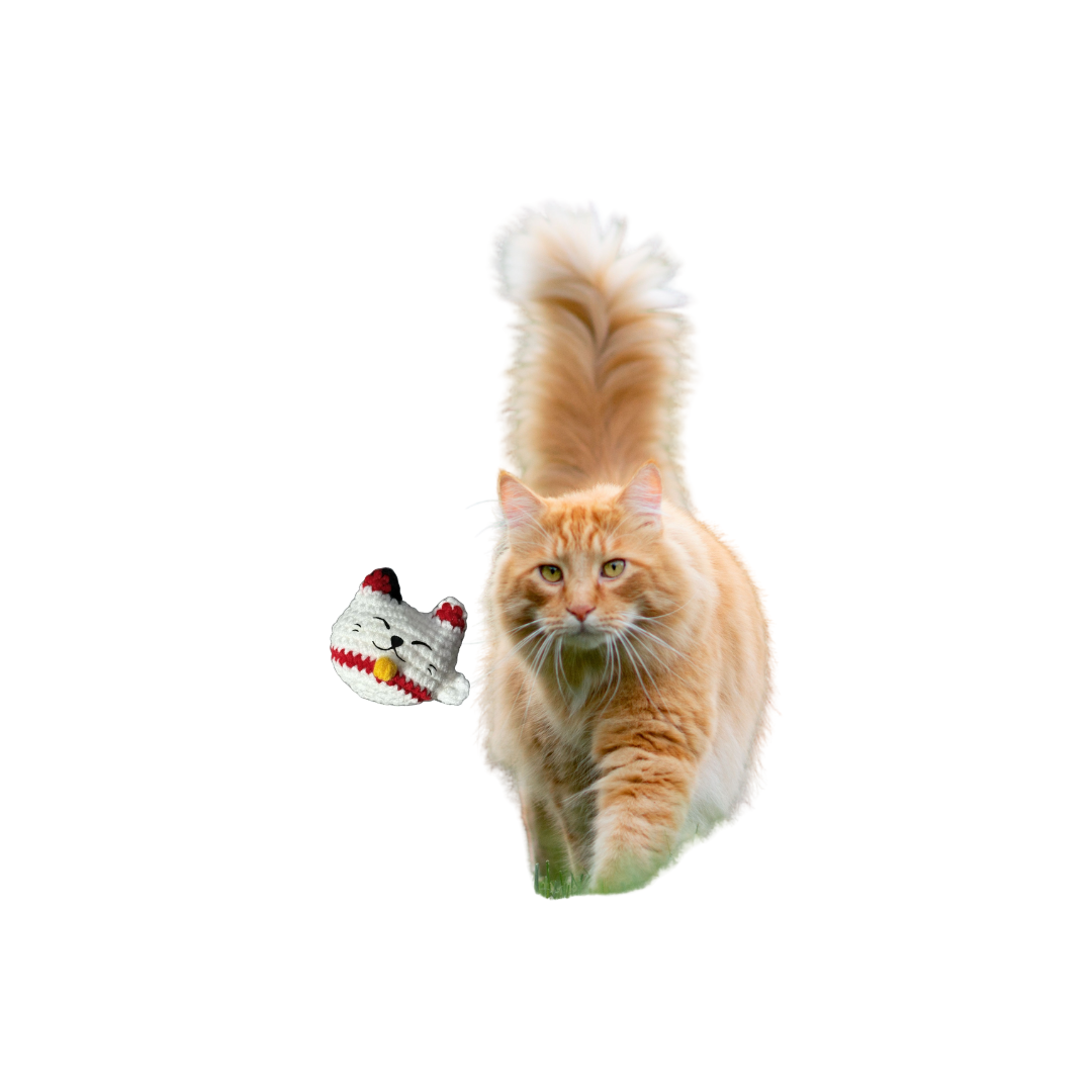 Orange cat walking on a white background with a small plush cat toy next to it.