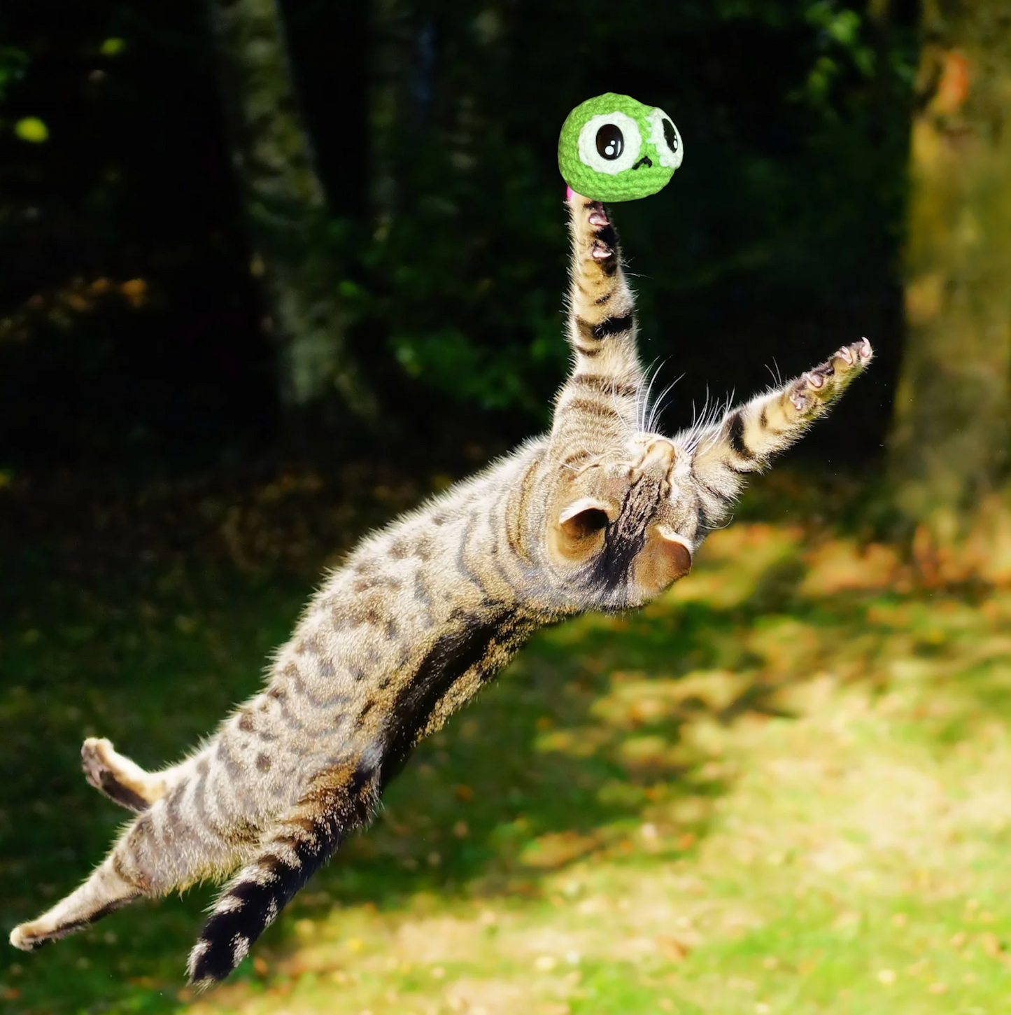 Cat leaping in the air with Steve, a green pea shaped cat toy in front of a blurred natural background