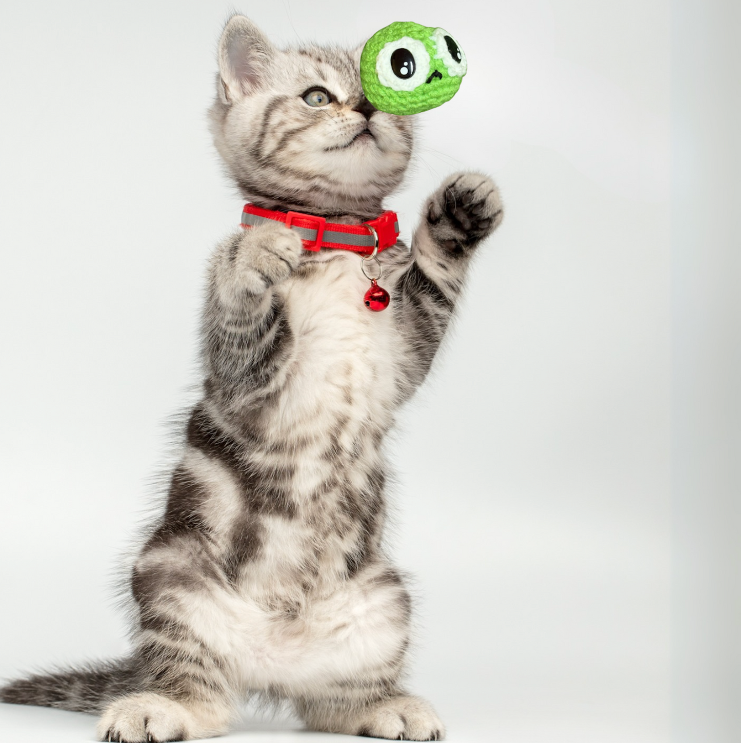 Cat playing with a green pea shaped Chunkle cat toy against a white background