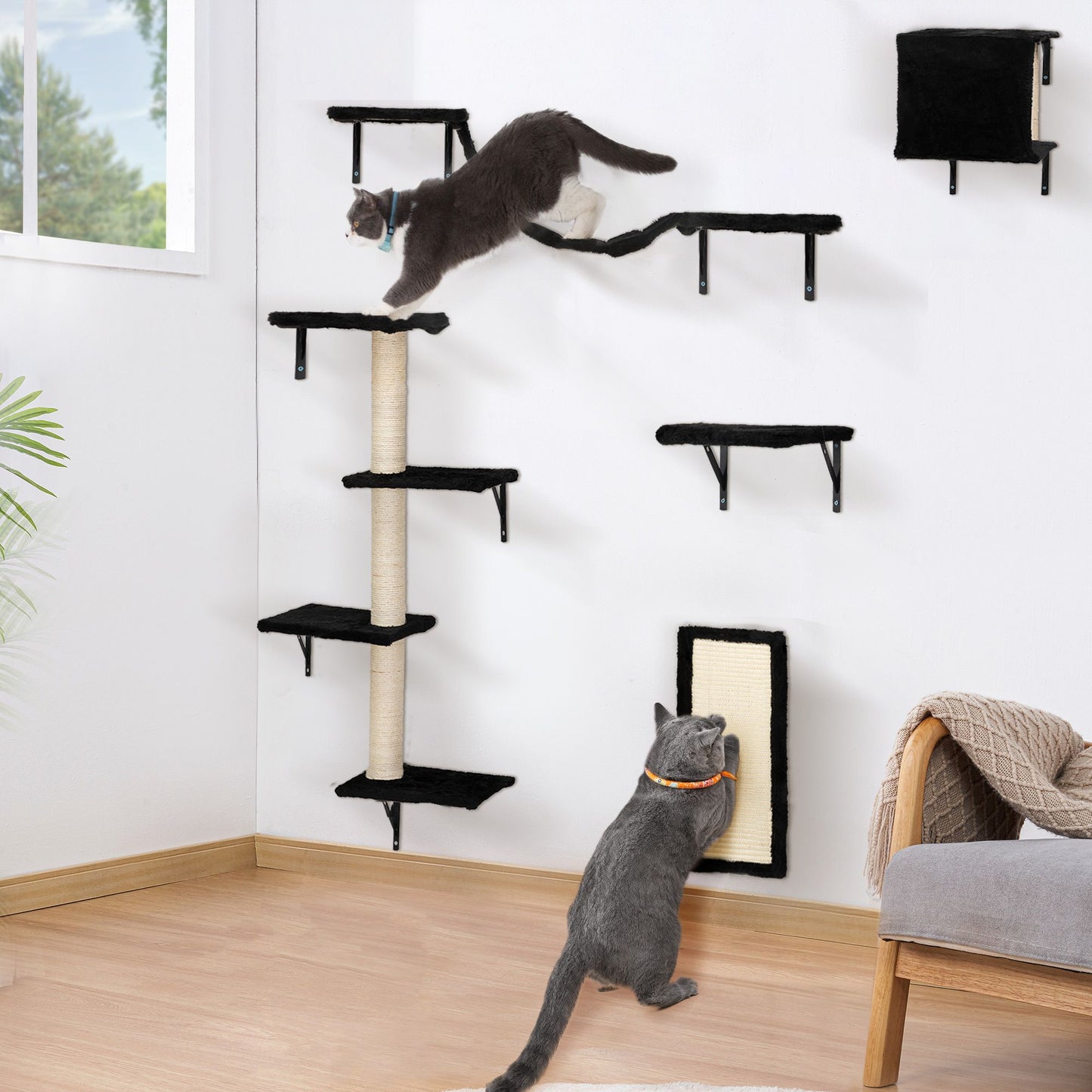 Two cats explore The Grove Set in black—one climbing the wall-mounted shelves and hammock bridge, the other using the vertical scratch pad. The set blends into a serene white room with soft light and natural textures.