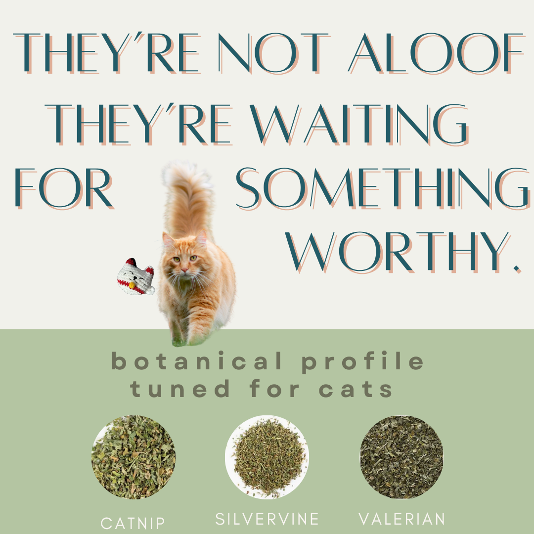 Cat with text 'They're not aloof, they're waiting for something worthy.' and botanical profile for cats on a green background.