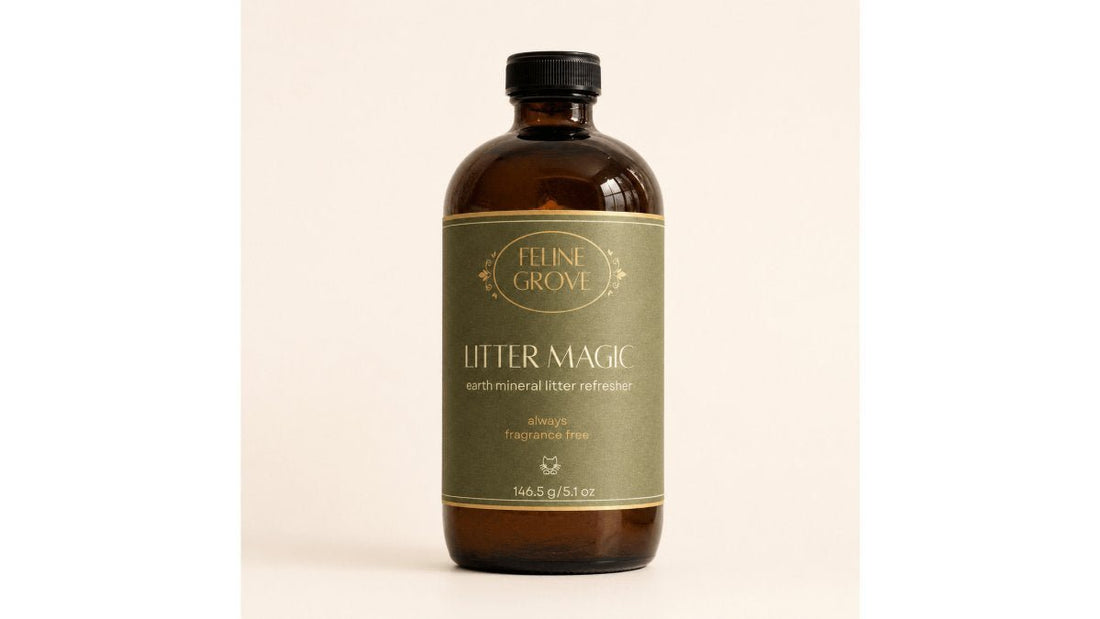Litter Magic Review: Natural Odor Control for Cats - Feline Grove