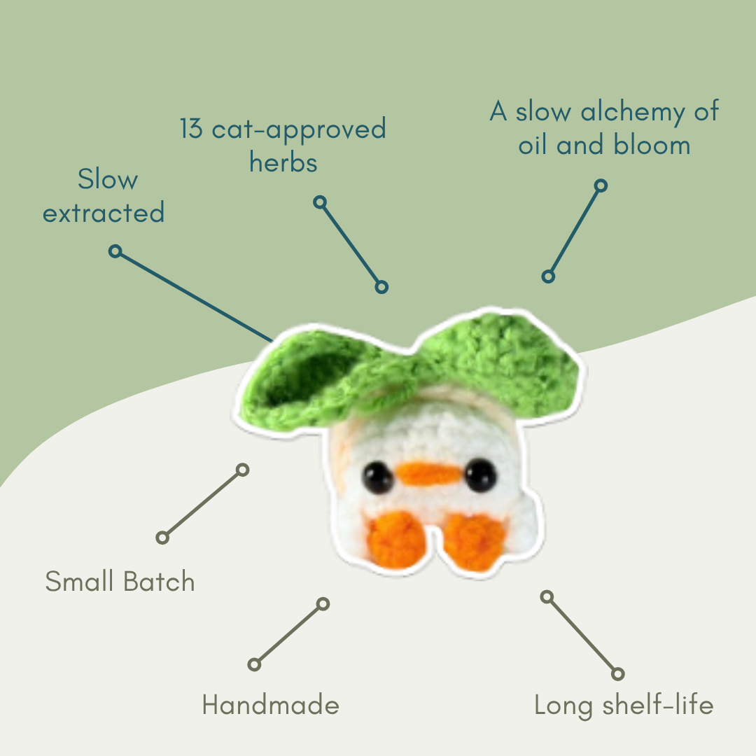 Illustration of a small chick-shaped Chunkle Puff cat toy with text describing its attributes on a green background