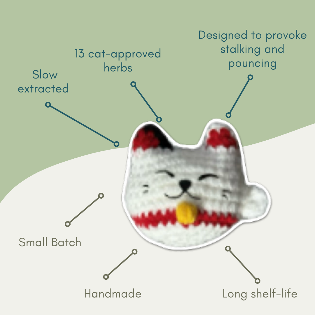 Japanese lucky cat-shaped Chunkle Chunk cat toy with text describing its features on a green background