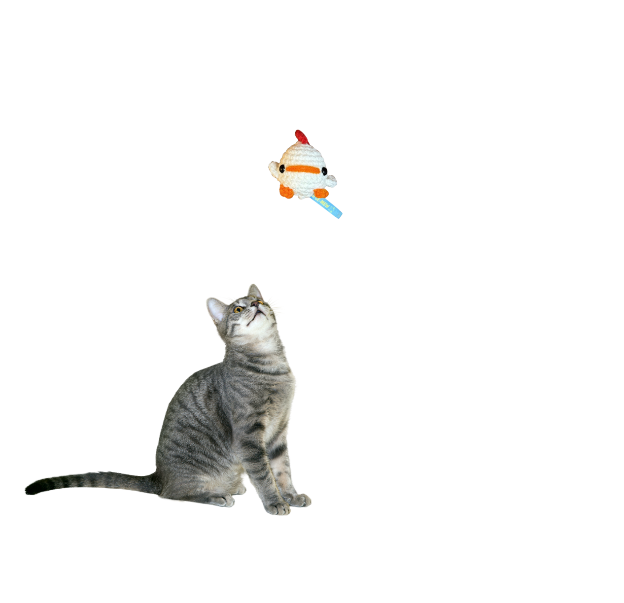 Cat playing with a chick-shaped toy on a white background