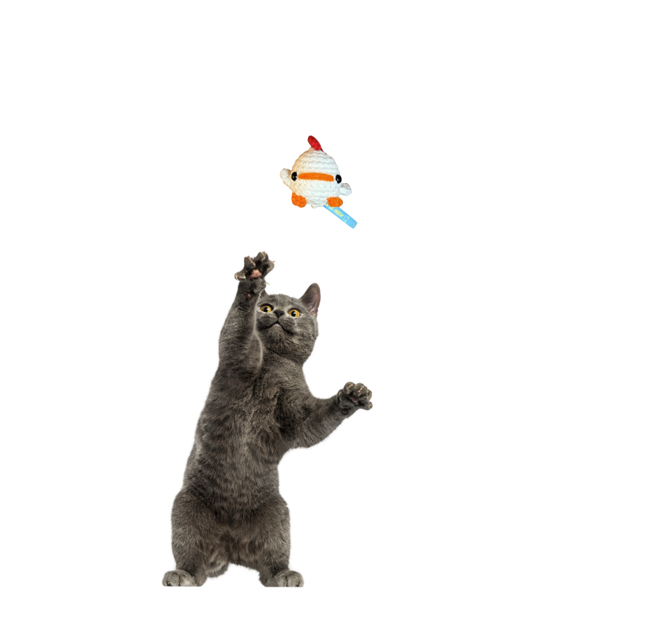 Cat playing with a chick-shaped toy on a white background