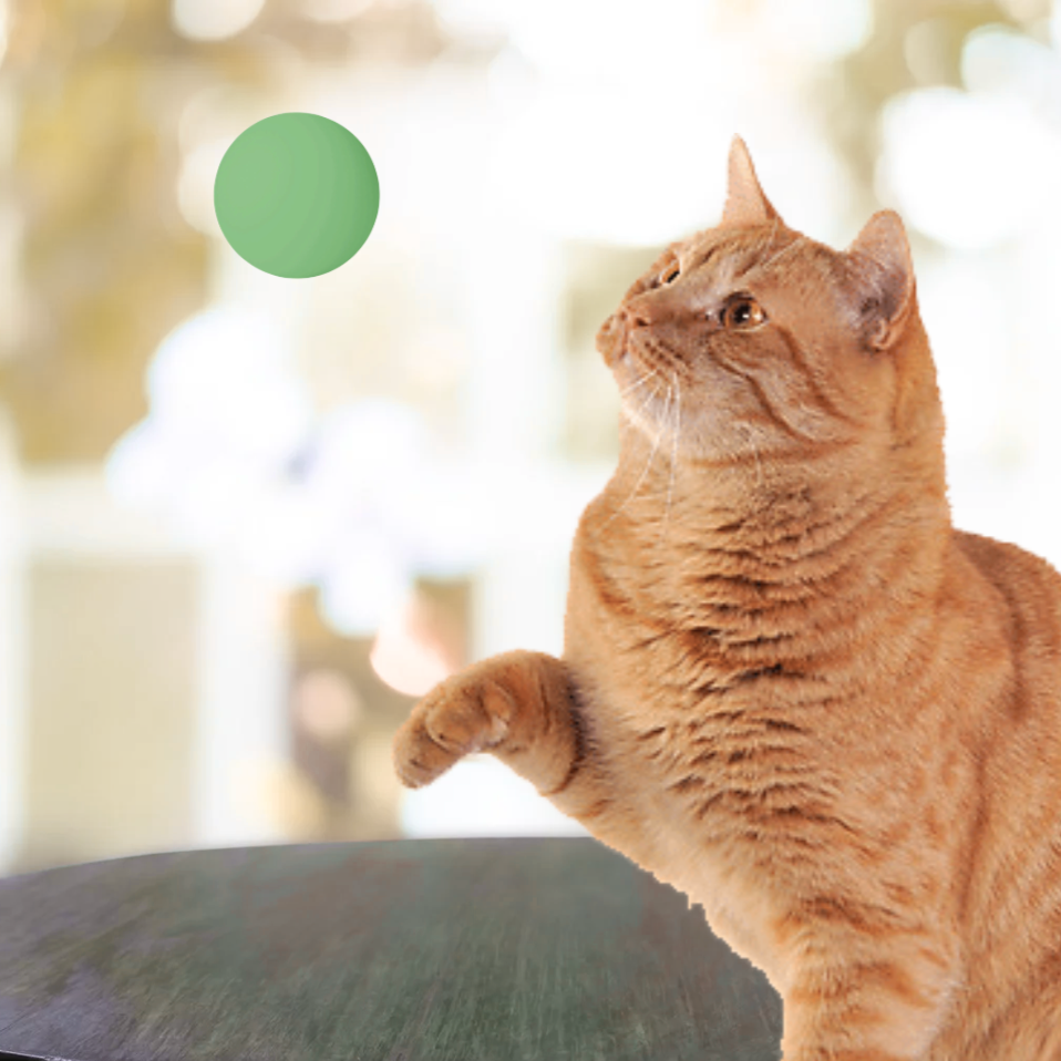 Birder Cat Batting Balls | Six-Piece Set for Indoor Bird-Chasers