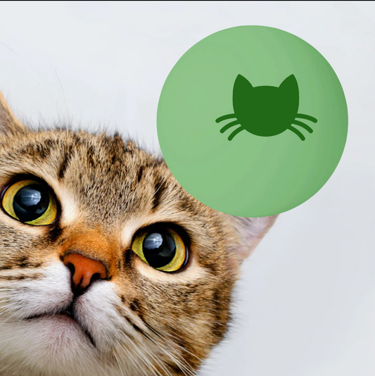 Birder Cat Batting Balls | Six-Piece Set for Indoor Bird-Chasers