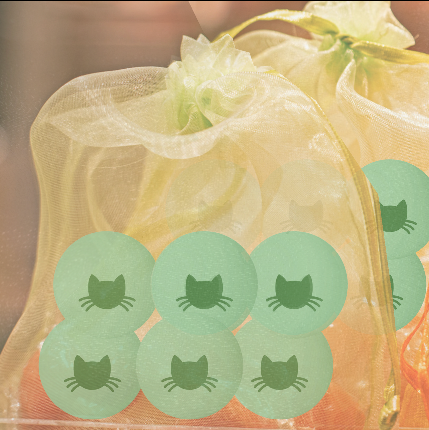 Birder Cat Batting Balls | Six-Piece Set for Indoor Bird-Chasers