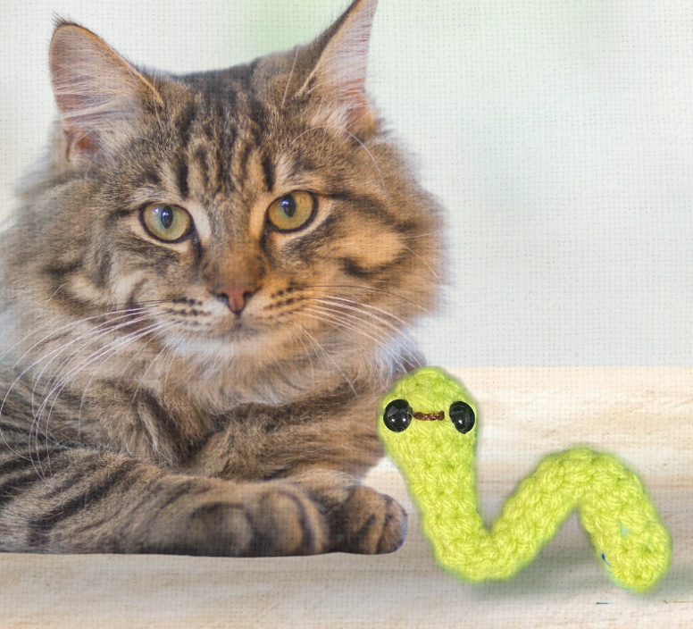 Noodle the inchworm | lightweight cat toy