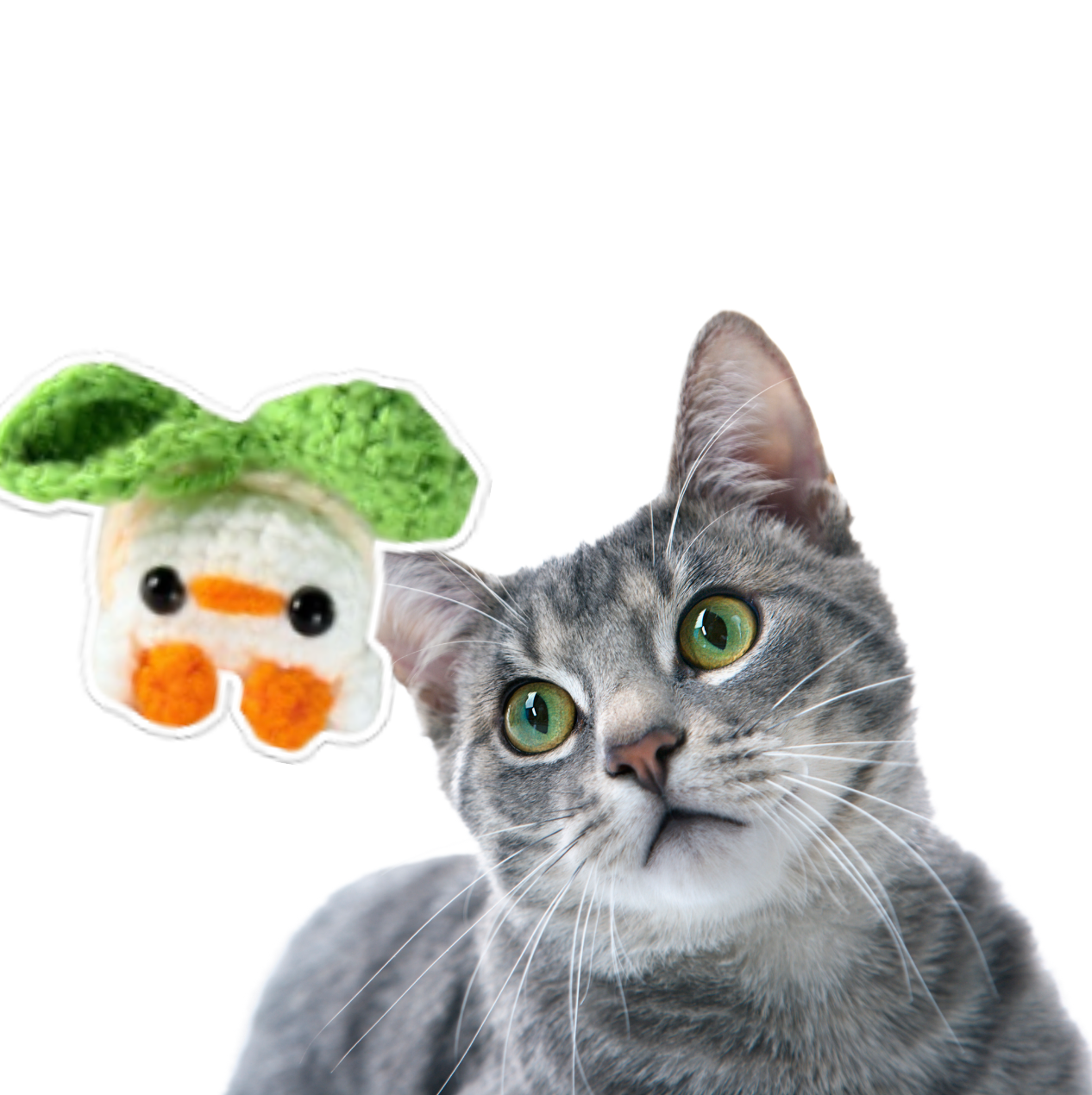 Gray cat looking at a green, white, and orange Chunkle Puff cat toy shaped like a baby chick who is wearing a peach costume