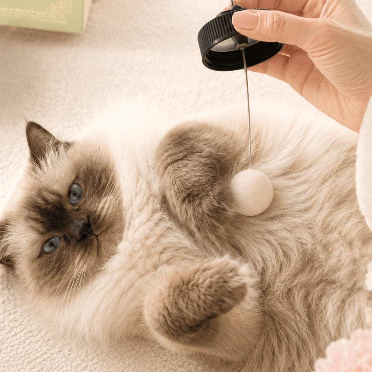Mat Remover | At Home Cat Grooming-Fluff Potion No. 9 - Feline Grove