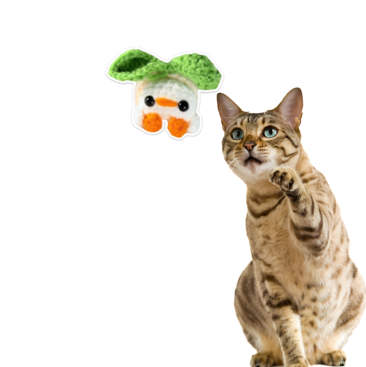 Cat playing with a green and orange cat toy on a white background