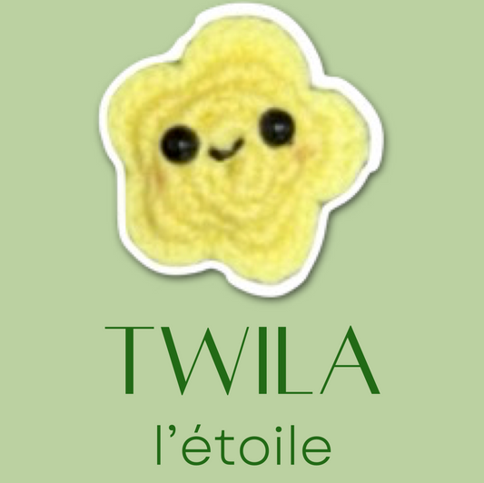 Yellow star shaped plush Chunkle cat toy with a smiling face on a green background, branded 'TWILA l'étoile'.
