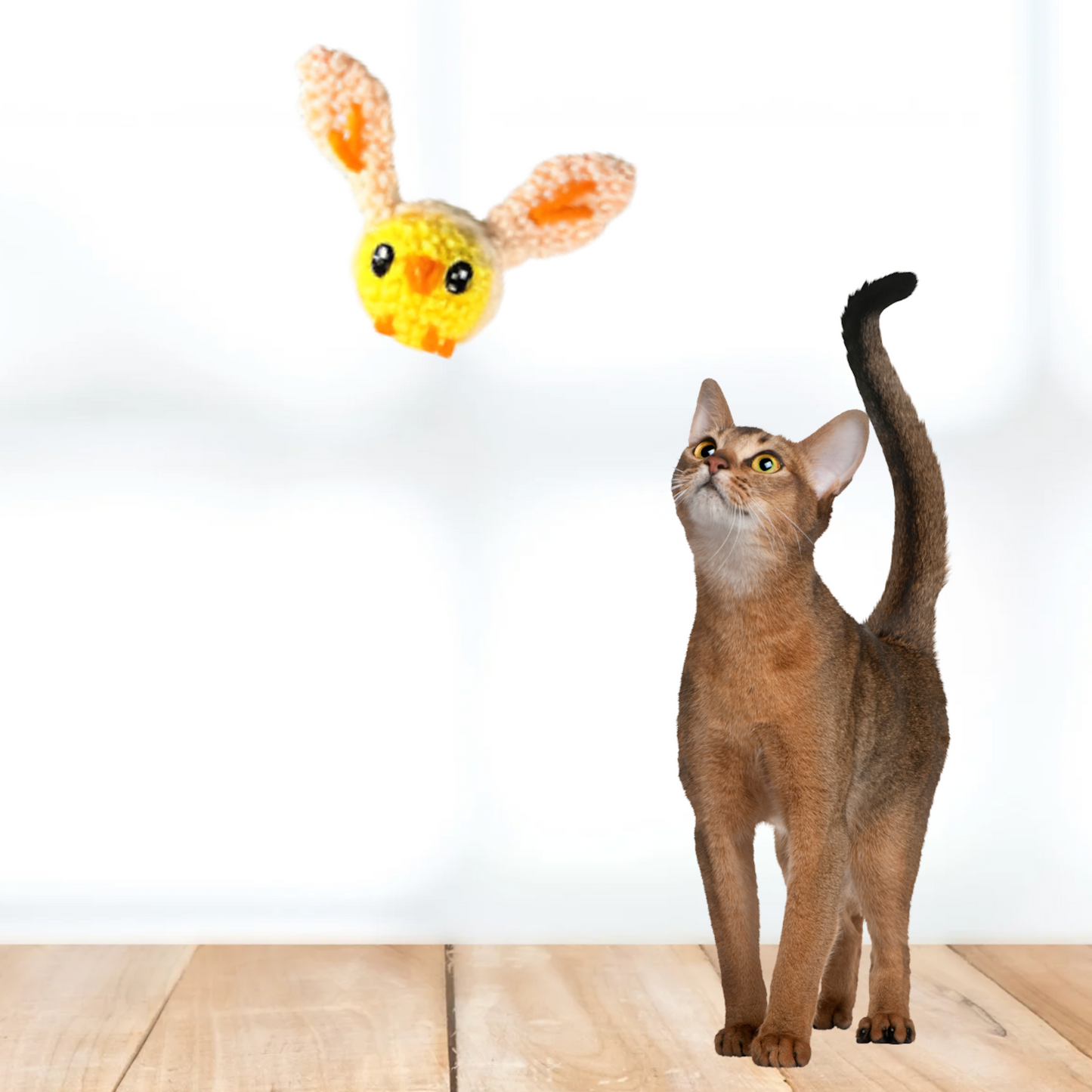 Walter the Chick – Chunkle Puff