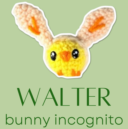 Walter the Chick – Chunkle Puff